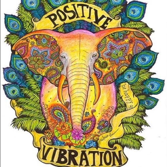 Meet your Posher, Jenny - Picture 4 of 9